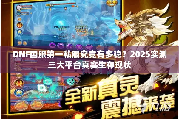 DNF国服第一私服究竟有多稳？2025实测三大平台真实生存现状