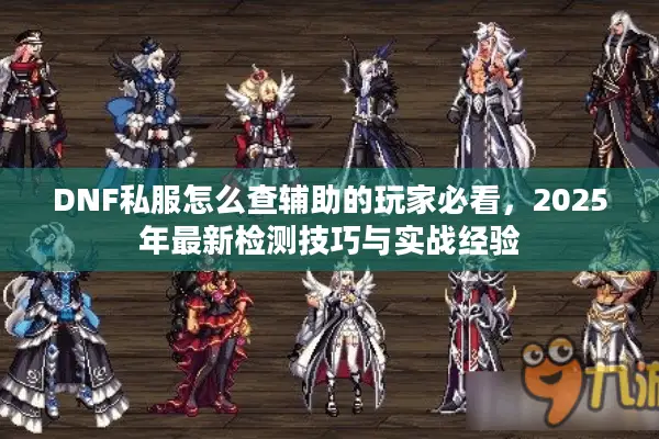 DNF私服怎么查辅助的玩家必看，2025年最新检测技巧与实战经验