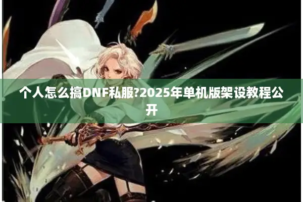 个人怎么搞DNF私服?2025年单机版架设教程公开