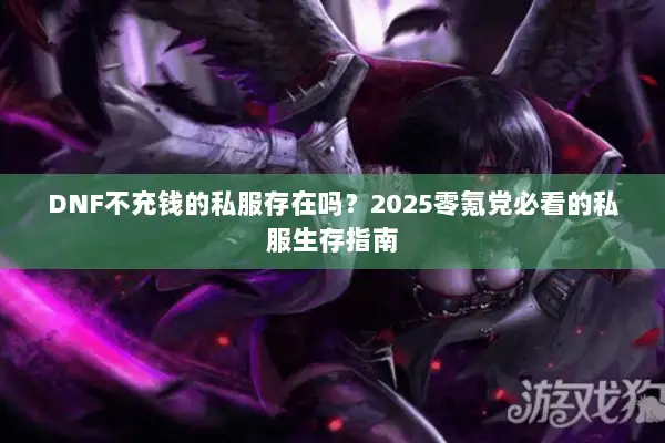 DNF不充钱的私服存在吗？2025零氪党必看的私服生存指南