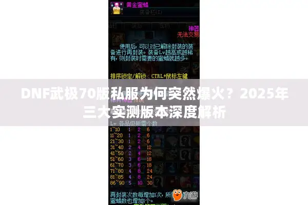 DNF武极70版私服为何突然爆火？2025年三大实测版本深度解析