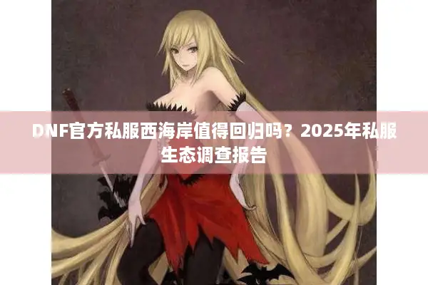 DNF官方私服西海岸值得回归吗？2025年私服生态调查报告