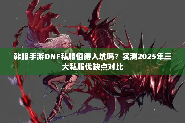 韩服手游DNF私服值得入坑吗？实测2025年三大私服优缺点对比