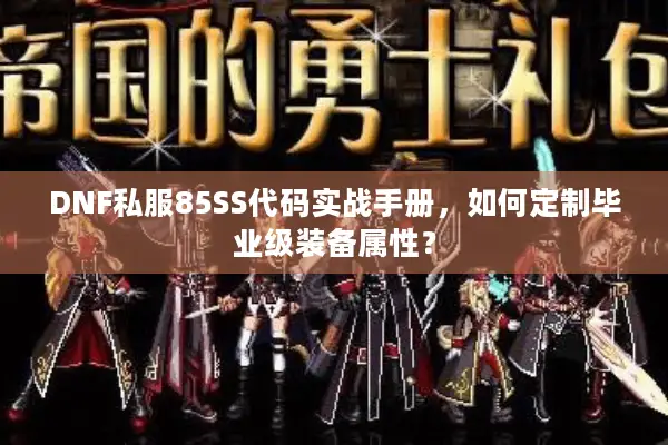 DNF私服85SS代码实战手册，如何定制毕业级装备属性？