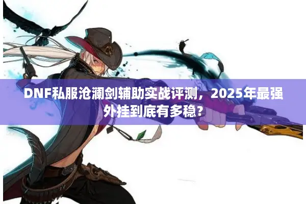 DNF私服沧澜剑辅助实战评测，2025年最强外挂到底有多稳？