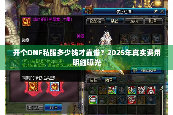开个DNF私服多少钱才靠谱？2025年真实费用明细曝光