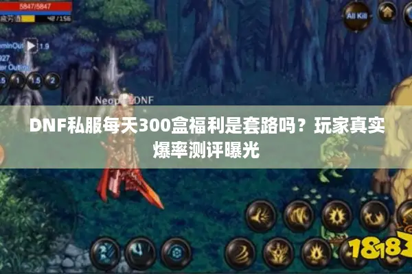 DNF私服每天300盒福利是套路吗？玩家真实爆率测评曝光