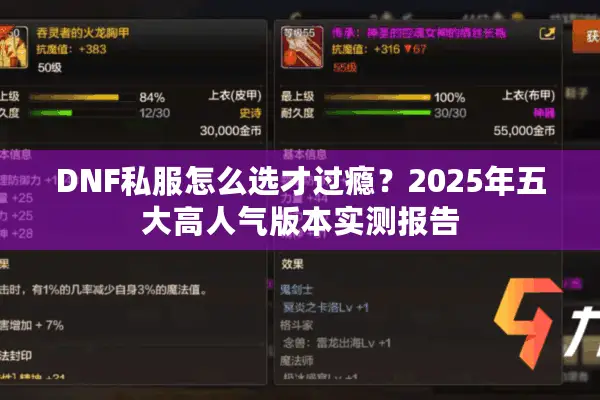 DNF私服怎么选才过瘾？2025年五大高人气版本实测报告