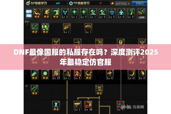 DNF最像国服的私服存在吗？深度测评2025年最稳定仿官服
