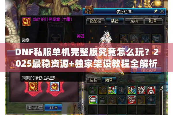 DNF私服单机完整版究竟怎么玩？2025最稳资源+独家架设教程全解析