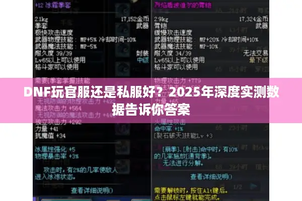 DNF玩官服还是私服好？2025年深度实测数据告诉你答案
