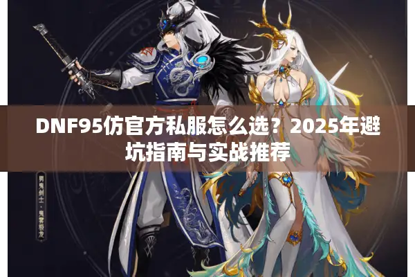 DNF95仿官方私服怎么选？2025年避坑指南与实战推荐