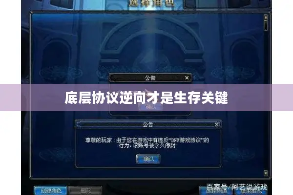 底层协议逆向才是生存关键