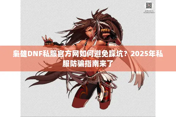 枭雄DNF私服官方网如何避免踩坑？2025年私服防骗指南来了