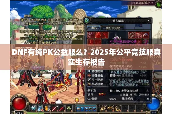 DNF有纯PK公益服么？2025年公平竞技服真实生存报告