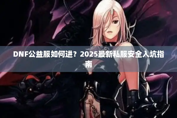 DNF公益服如何进？2025最新私服安全入坑指南