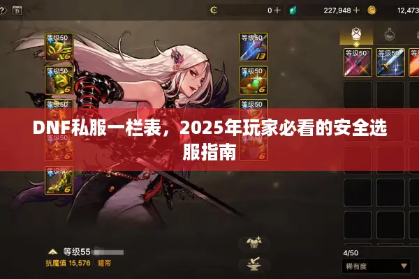 DNF私服一栏表，2025年玩家必看的安全选服指南