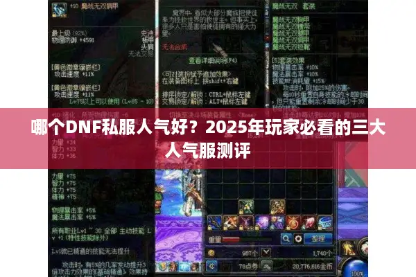 哪个DNF私服人气好？2025年玩家必看的三大人气服测评