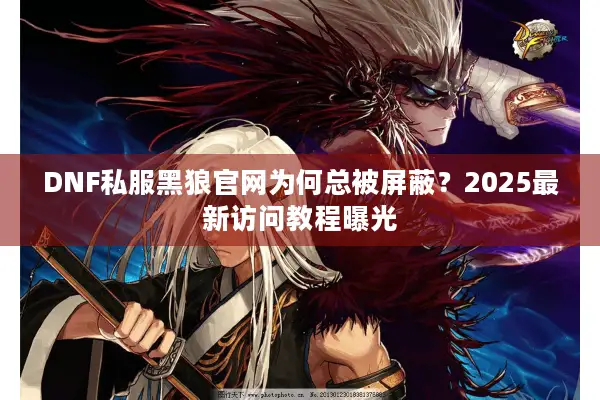 DNF私服黑狼官网为何总被屏蔽？2025最新访问教程曝光