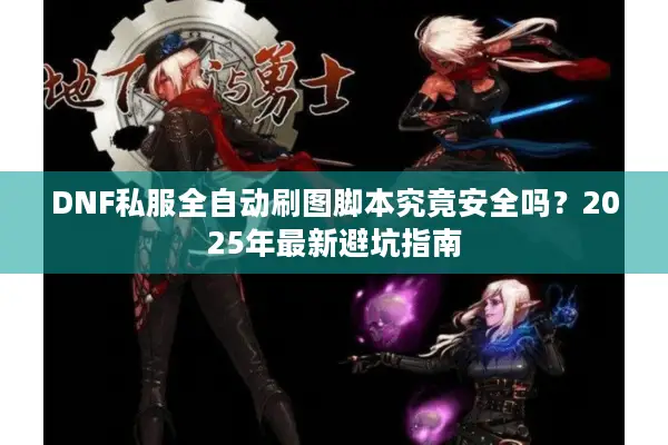 DNF私服全自动刷图脚本究竟安全吗？2025年最新避坑指南