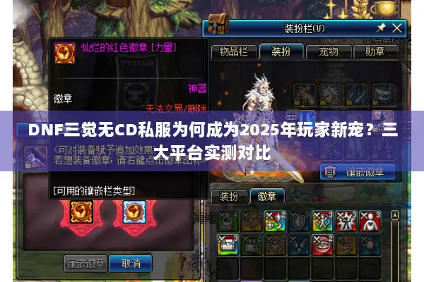 DNF三觉无CD私服为何成为2025年玩家新宠？三大平台实测对比