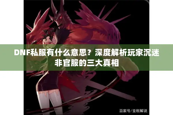 DNF私服有什么意思？深度解析玩家沉迷非官服的三大真相