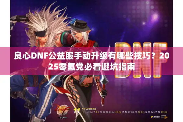 良心DNF公益服手动升级有哪些技巧？2025零氪党必看避坑指南