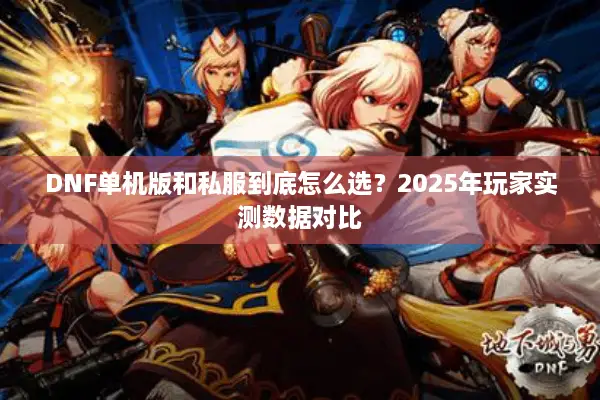 DNF单机版和私服到底怎么选？2025年玩家实测数据对比