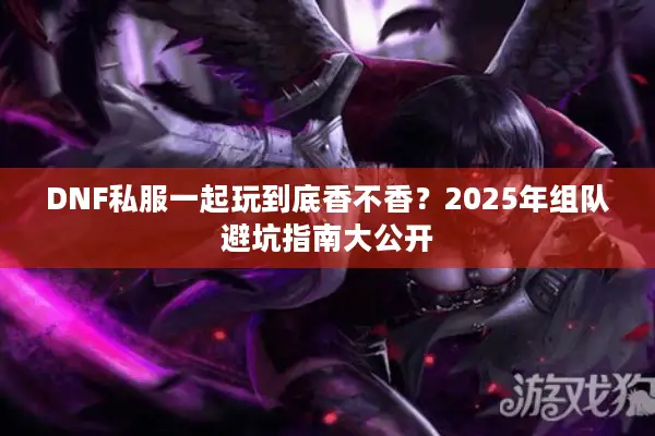 DNF私服一起玩到底香不香？2025年组队避坑指南大公开