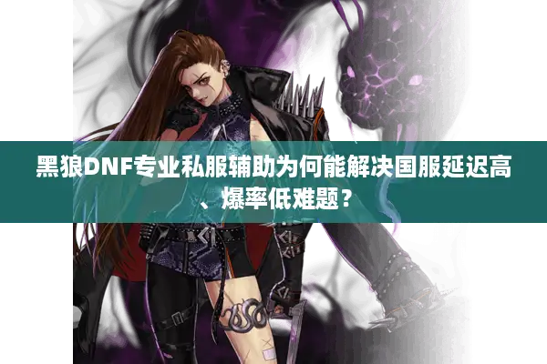 黑狼DNF专业私服辅助为何能解决国服延迟高、爆率低难题？