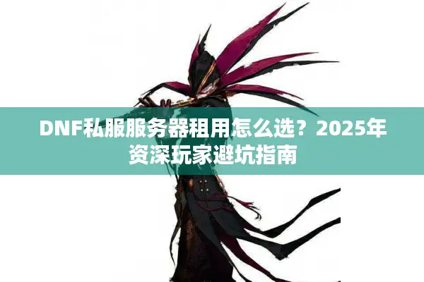 DNF私服服务器租用怎么选？2025年资深玩家避坑指南
