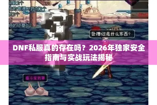 DNF私服真的存在吗？2026年独家安全指南与实战玩法揭秘