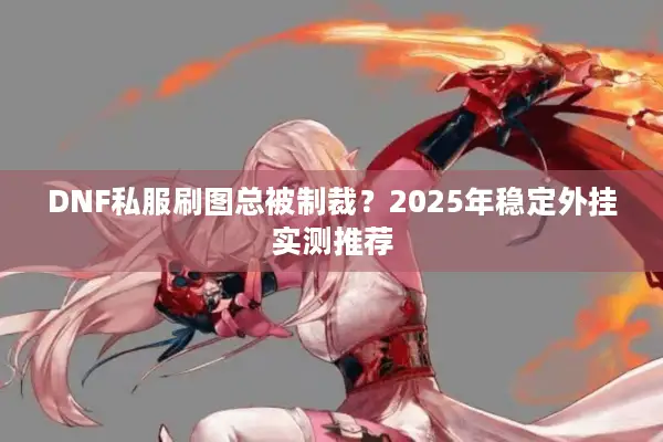 DNF私服刷图总被制裁？2025年稳定外挂实测推荐