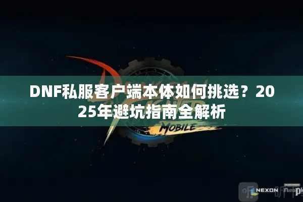 DNF私服客户端本体如何挑选？2025年避坑指南全解析