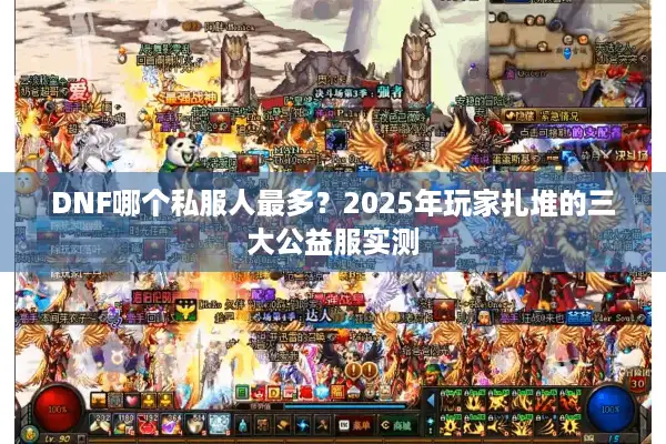 DNF哪个私服人最多？2025年玩家扎堆的三大公益服实测