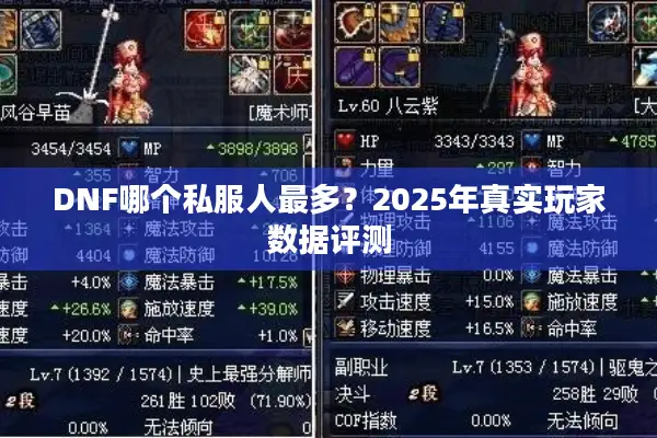 DNF哪个私服人最多？2025年真实玩家数据评测