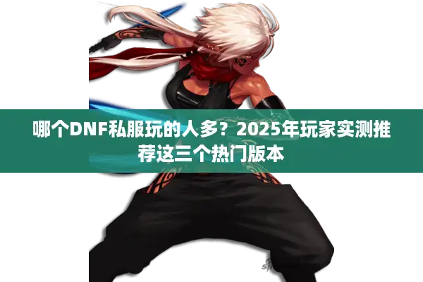 哪个DNF私服玩的人多？2025年玩家实测推荐这三个热门版本