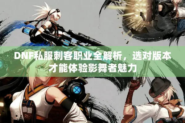 DNF私服刺客职业全解析，选对版本才能体验影舞者魅力