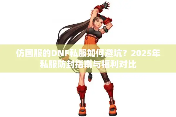 仿国服的DNF私服如何避坑？2025年私服防封指南与福利对比