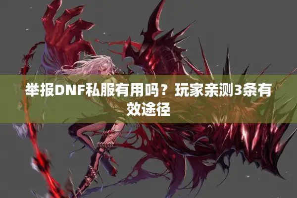 举报DNF私服有用吗？玩家亲测3条有效途径