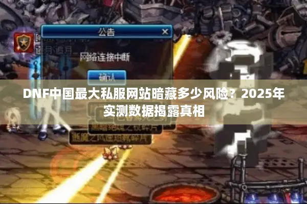 DNF中国最大私服网站暗藏多少风险？2025年实测数据揭露真相