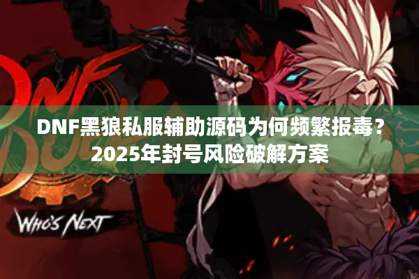 DNF黑狼私服辅助源码为何频繁报毒？2025年封号风险破解方案