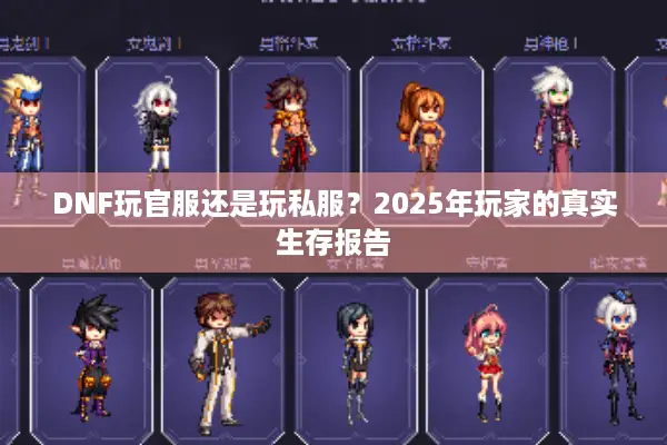 DNF玩官服还是玩私服？2025年玩家的真实生存报告