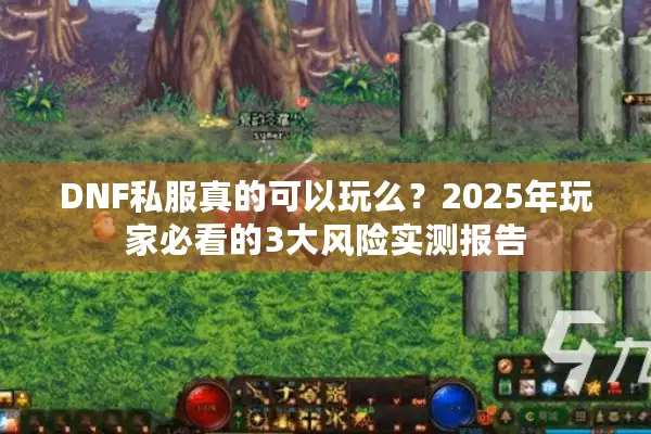 DNF私服真的可以玩么？2025年玩家必看的3大风险实测报告