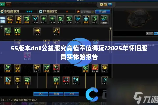 55版本dnf公益服究竟值不值得玩?2025年怀旧服真实体验报告