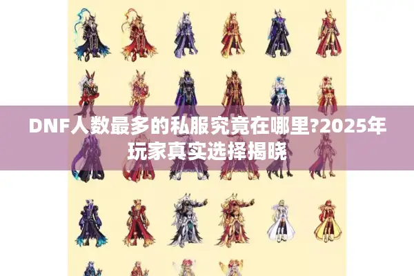 DNF人数最多的私服究竟在哪里?2025年玩家真实选择揭晓