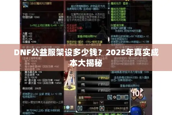 DNF公益服架设多少钱？2025年真实成本大揭秘