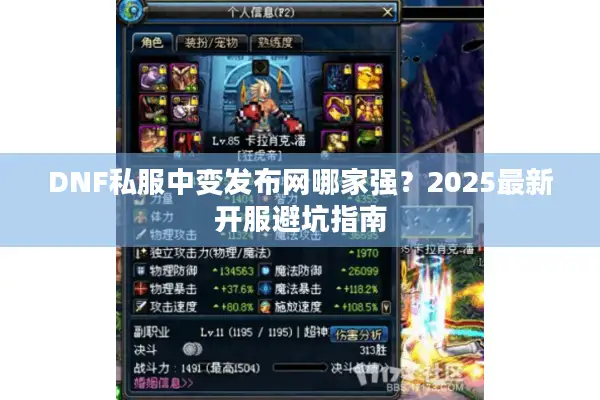 DNF私服中变发布网哪家强？2025最新开服避坑指南