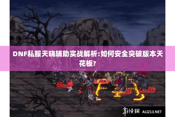 DNF私服天晓辅助实战解析:如何安全突破版本天花板?