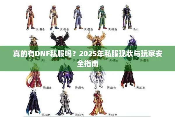真的有DNF私服吗？2025年私服现状与玩家安全指南